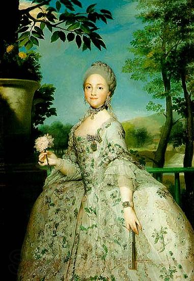 Anton Raphael Mengs the later Queen Maria Luisa of Spain Spain oil painting art